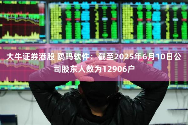 大牛证券港股 鸥玛软件：截至2025年6月10日公司股东人数为12906户