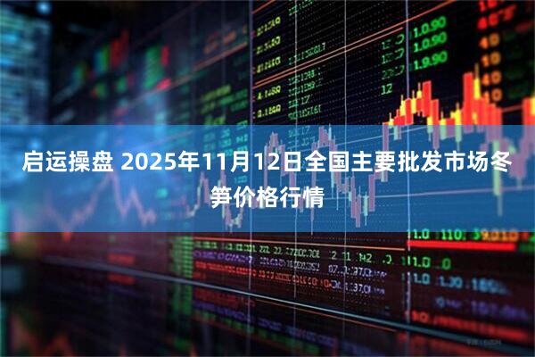 启运操盘 2025年11月12日全国主要批发市场冬笋价格行情