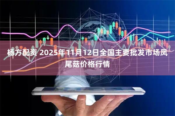 杨方配资 2025年11月12日全国主要批发市场凤尾菇价格行情