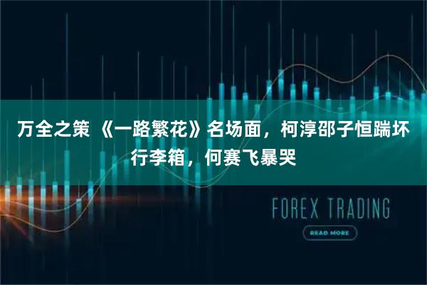 万全之策 《一路繁花》名场面，柯淳邵子恒踹坏行李箱，何赛飞暴哭