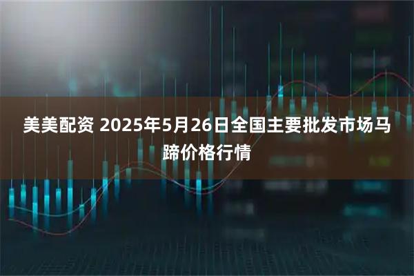 美美配资 2025年5月26日全国主要批发市场马蹄价格行情