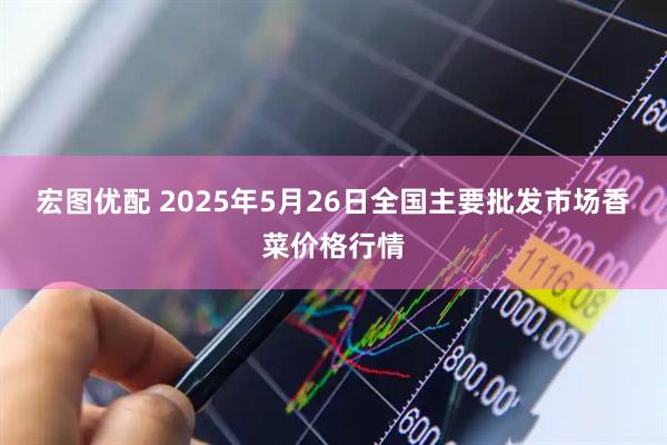 宏图优配 2025年5月26日全国主要批发市场香菜价格行情