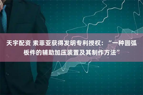 天宇配资 索菲亚获得发明专利授权：“一种圆弧板件的辅助加压装置及其制作方法”