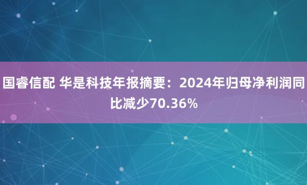 国睿信配 华是科技年报摘要：2024年归母净利润同比减少70.36%