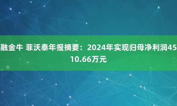 融金牛 菲沃泰年报摘要：2024年实现归母净利润4510.66万元