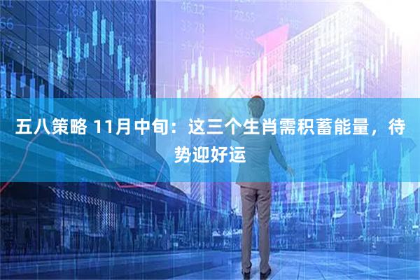 五八策略 11月中旬：这三个生肖需积蓄能量，待势迎好运